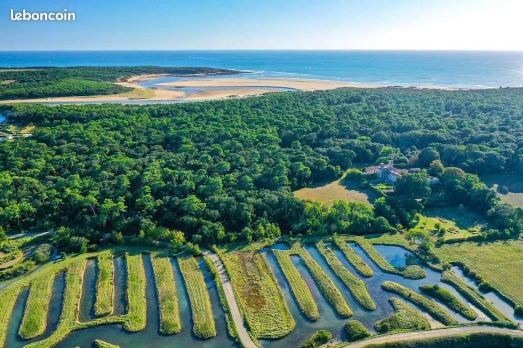 Studio Au Coeur Du Golf De Port Bourgenay, Proche Des Sables D'Olonne Talmont-Saint-Hilaire Exterior foto